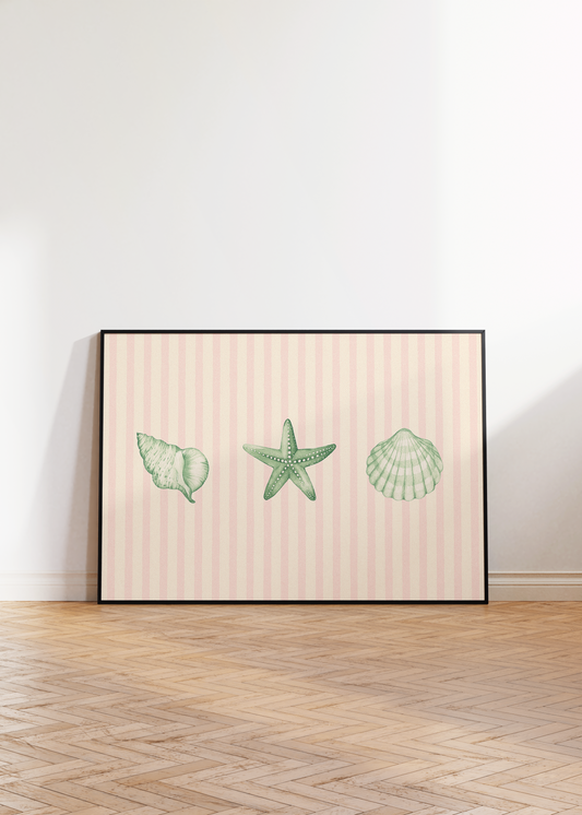 Shells Print